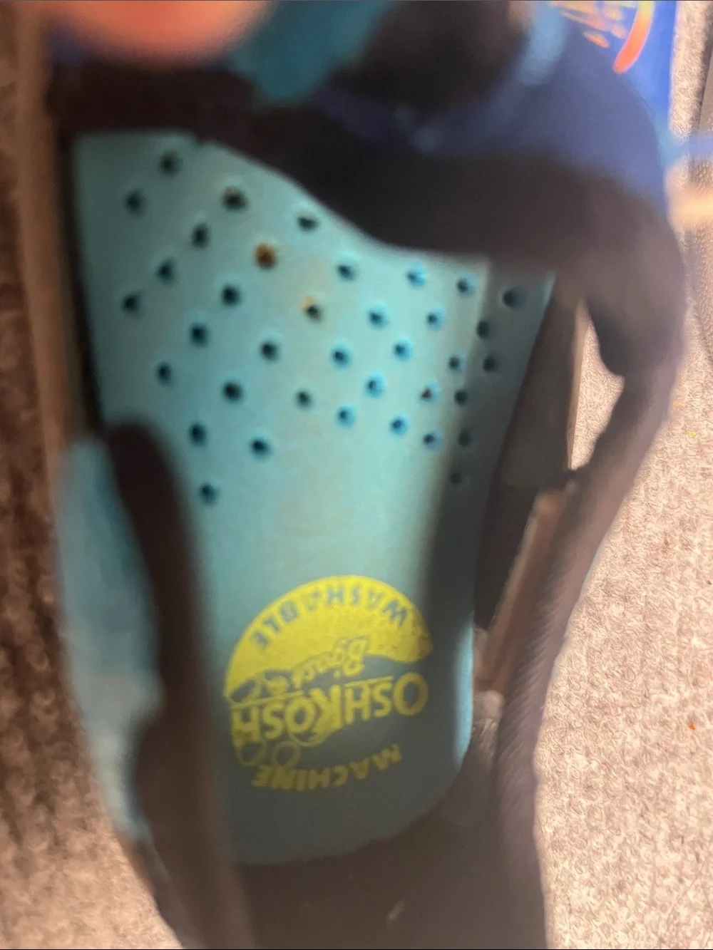 Kids Blue and Teal Water-Friendly Sandals with Shark Graphic